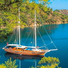 Blue Voyage Combination